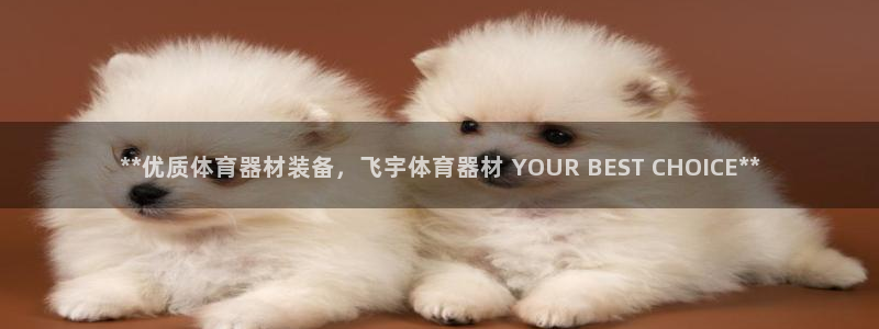 尊龙凯时人生就是博中国官网：**优质体育器材装备，飞