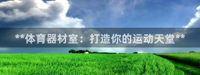 凯时效果怎么样：**体育器材室：打造你的运动天堂**