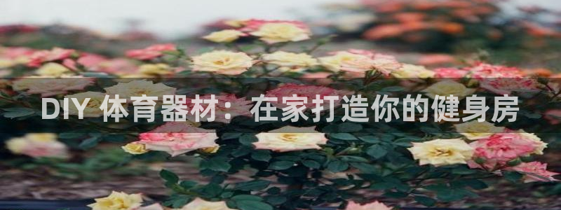 尊龙凯时俱乐部：DIY 体育器材：在家打造你的健身房