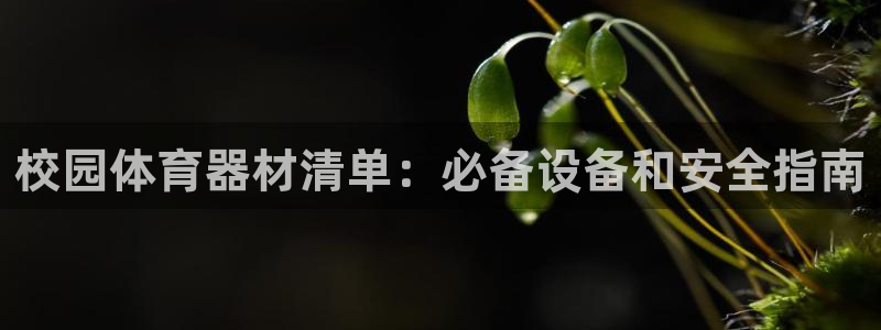 尊龙l1500：校园体育器材清单：必备设备和安全指南