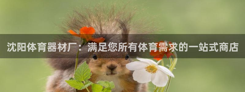 尊龙集团有限公司官网：沈阳体育器材厂：满足您所有体育