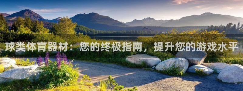 尊龙下载推荐网站：球类体育器材：您的终极指南，提升您