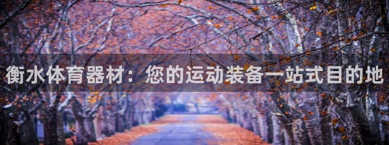 尊龙,人生就是搏：衡水体育器材：您的运动装备一站式目
