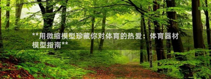 尊龙人生就是博登录网址下载：**用微缩模型珍藏你对体