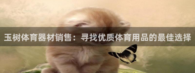 尊龙凯时ag旗舰：玉树体育器材销售：寻找优质体育用品