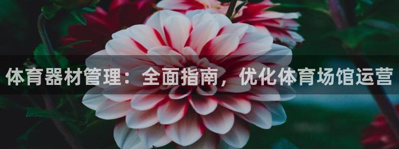 尊龙官方网址：体育器材管理：全面指南，优化体育场馆运
