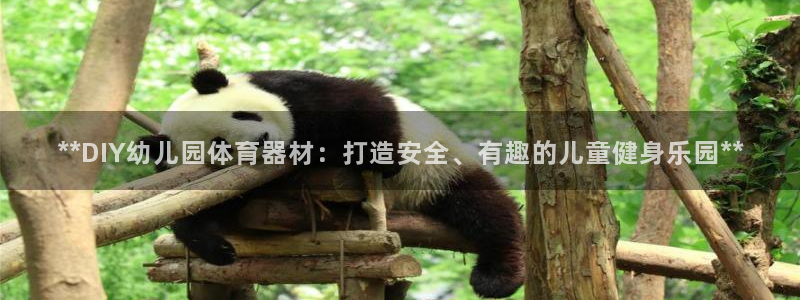 尊龙凯时 人生就是搏首页：**DIY幼儿园体育器材：