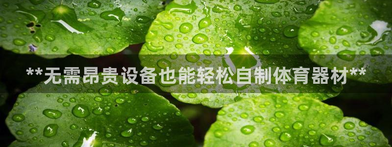 尊龙凯时官网登录入口：**无需昂贵设备也能轻松自制体