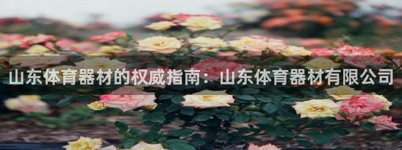 尊龙凯时和九游会哪个平台好一点：山东体育器材的权威指
