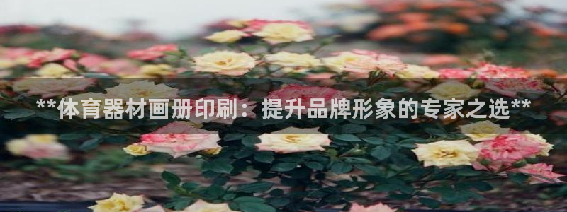 尊龙凯时vip：**体育器材画册印刷：提升品牌形象的