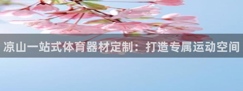 尊龙官方网站首页：凉山一站式体育器材定制：打造专属运