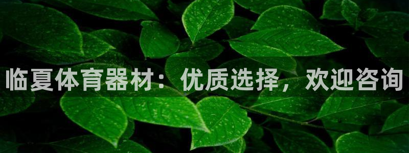 尊龙凯时合法吗?：临夏体育器材：优质选择，欢迎咨询