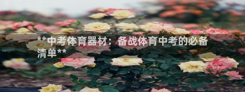 尊龙人生就是博官方官网：**中考体育器材：备战体育中