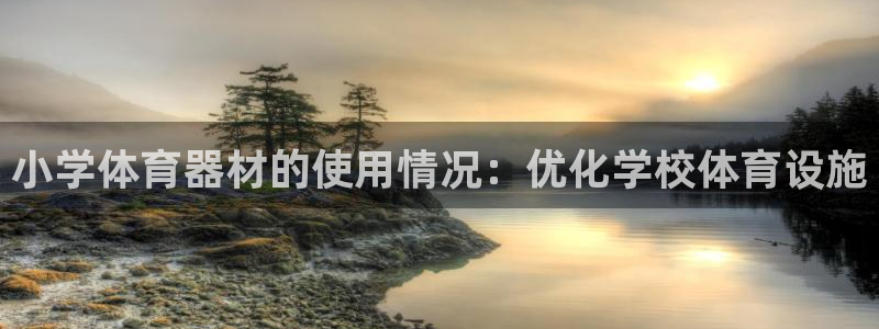 尊龙专访：小学体育器材的使用情况：优化学校体育设施