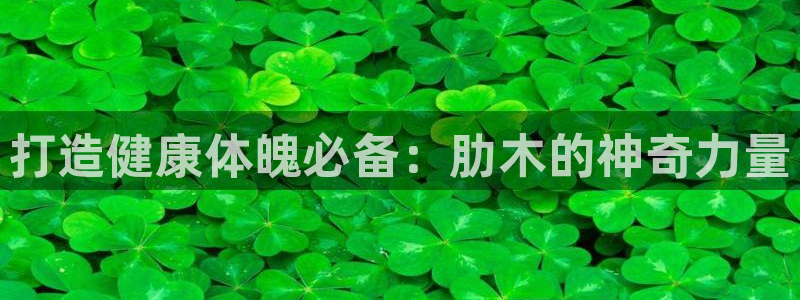 尊龙凯时ag旗舰厅官方网站：打造健康体魄必备：肋木的