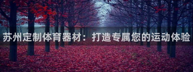 尊龙凯时输钱的原因：苏州定制体育器材：打造专属您的运