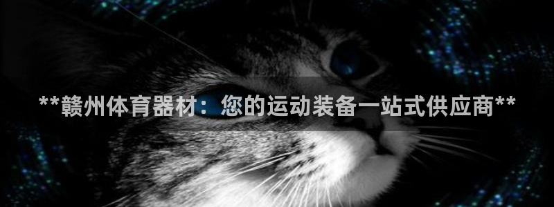 尊龙游戏官网游戏特色：**赣州体育器材：您的运动装备