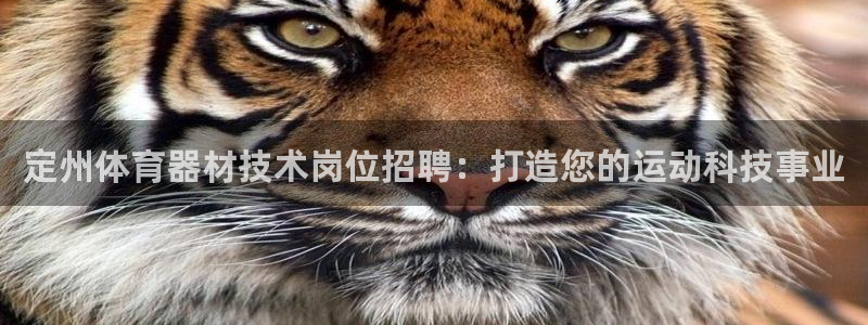 尊龙app怎么样：定州体育器材技术岗位招聘：打造您的