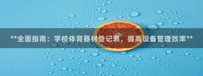 尊龙官方网站首页：**全面指南：学校体育器材登记表，