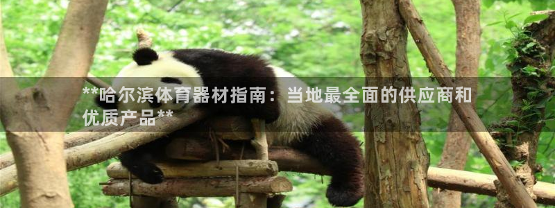 尊龙官网网页版：**哈尔滨体育器材指南：当地最全面的