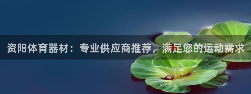 尊龙电子：资阳体育器材：专业供应商推荐，满足您的运动