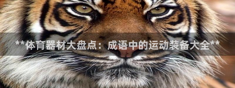 尊龙凯时ag旗舰厅官网客服：**体育器材大盘点：成语