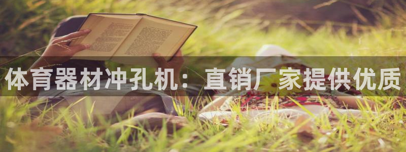 凯时kb88会员登录：体育器材冲孔机：直销厂家提供优