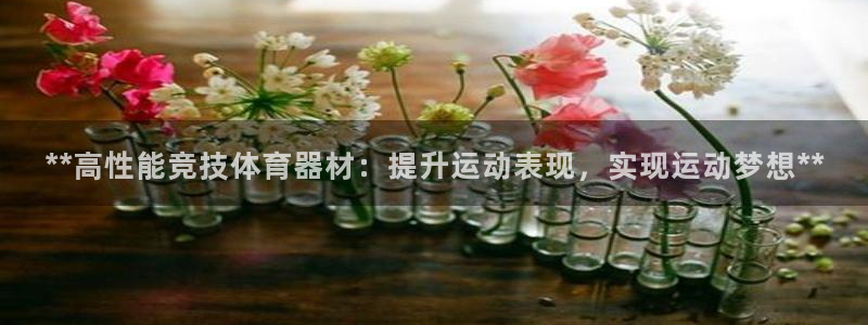 尊龙凯时能提现吗：**高性能竞技体育器材：提升运动表