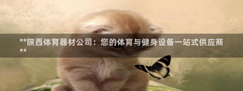 尊龙网平台：**陕西体育器材公司：您的体育与健身设备