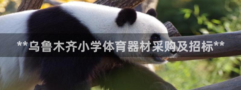 d88尊龙手机登录下载：**乌鲁木齐小学体育器材采购