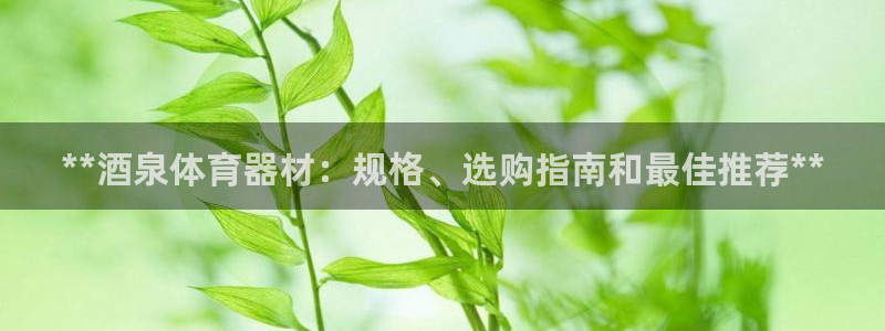 凯时k66官网登录：**酒泉体育器材：规格、选购指南