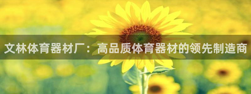 尊龙凯时人生就博官网登录：文林体育器材厂：高品质体育