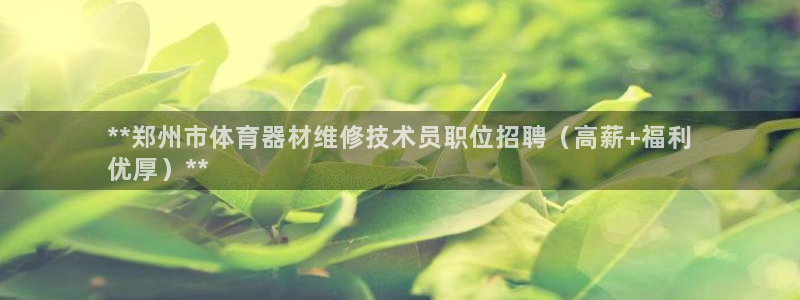 凯时是AG优质运营商：**郑州市体育器材维修技术员职