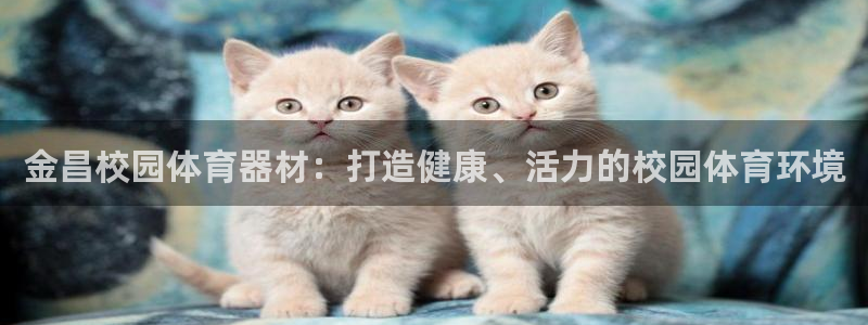 尊龙人生就是博D88：金昌校园体育器材：打造健康、活