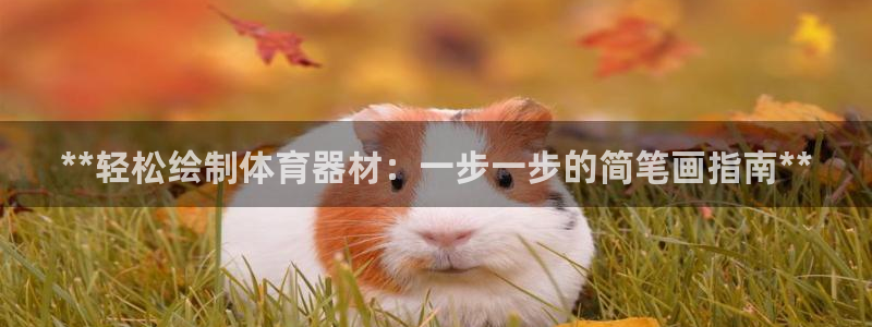d88尊龙手机登录下载：**轻松绘制体育器材：一步一