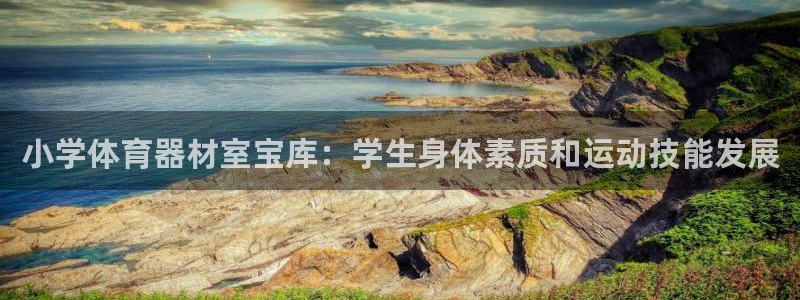 尊龙Ag：小学体育器材室宝库：学生身体素质和运动技能