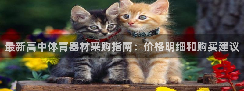 尊龙凯时代理佣金发不发：最新高中体育器材采购指南：价格明细和