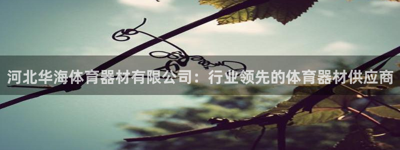 尊龙官方网站最新版V9.3.06介绍：河北华海体育器