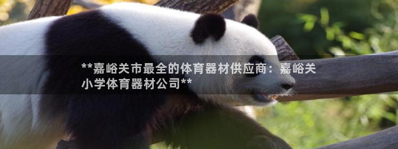 尊龙网站 人生就是博：**嘉峪关市最全的体育器材供应