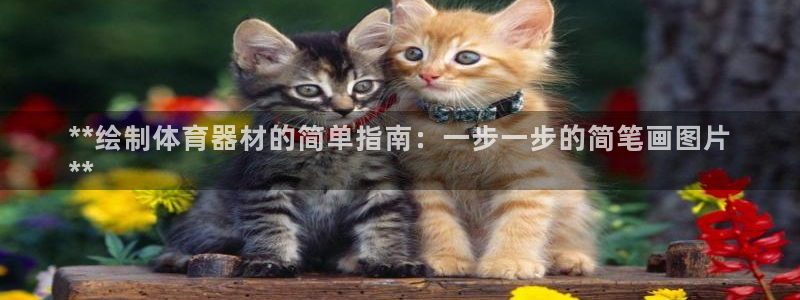 z6尊龙凯时旗舰厅：**绘制体育器材的简单指南：一步