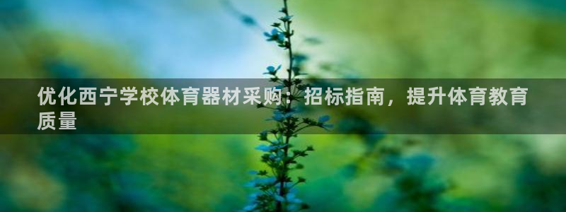 凯时官网手机版下载：优化西宁学校体育器材采购：招标指