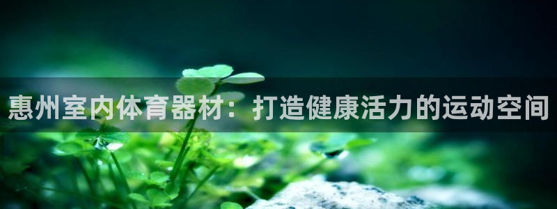 尊龙最新版：惠州室内体育器材：打造健康活力的运动空间