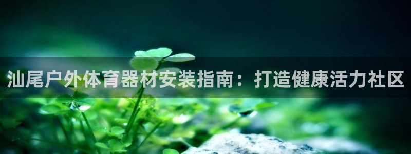 尊龙人生就是博现金：汕尾户外体育器材安装指南：打造健