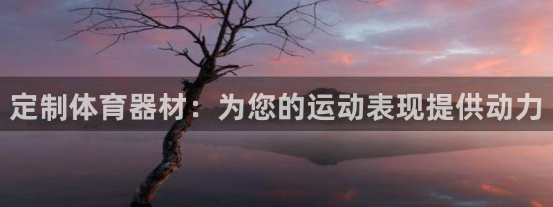 尊龙凯时：定制体育器材：为您的运动表现提供动力