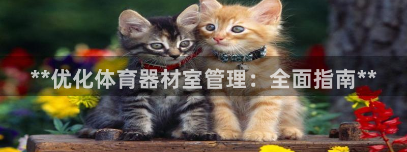 尊龙得过奥斯卡吗：**优化体育器材室管理：全面指南*
