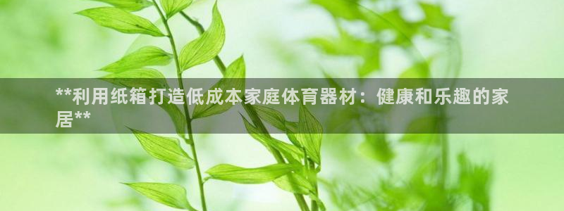 尊龙凯时官方网站：**利用纸箱打造低成本家庭体育器材