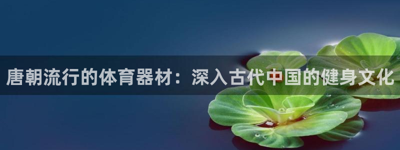尊龙app官网登录：唐朝流行的体育器材：深入古代中国