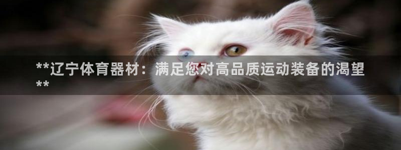 凯时国际app首页登录：**辽宁体育器材：满足您对高