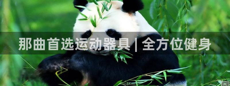 尊龙人生就是博送38：那曲首选运动器具 | 全方位健