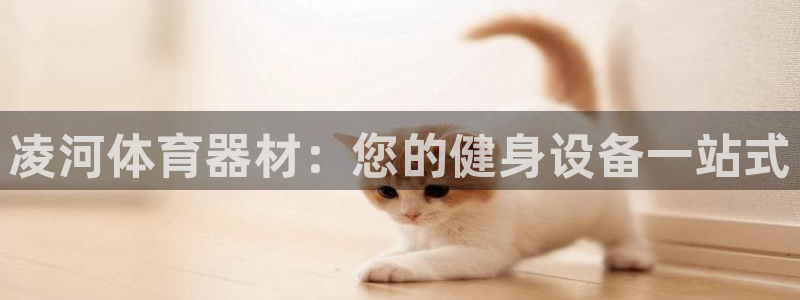 尊龙凯时网站首页手机登录：凌河体育器材：您的健身设备